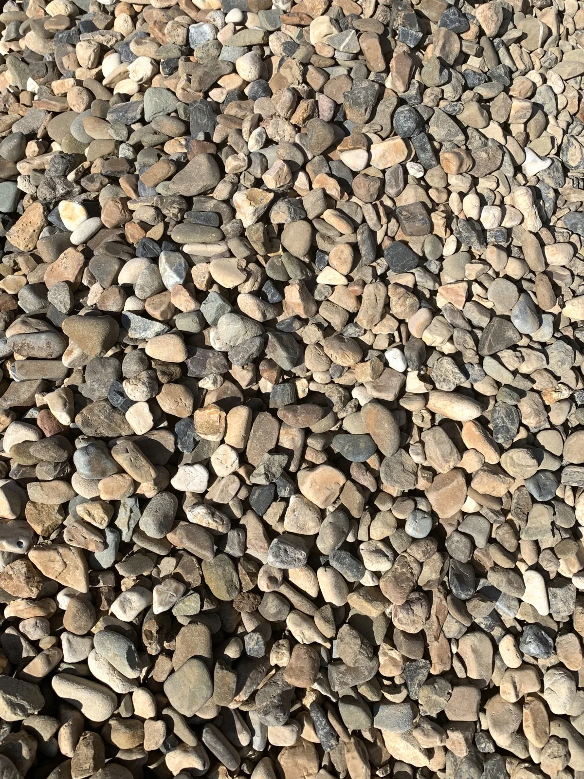 Smooth Brown 1"-under